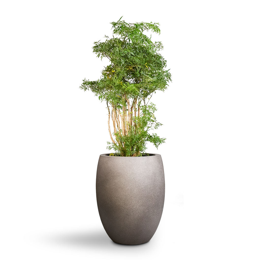 Grigio Tall Balloon Planter - Natural Concrete