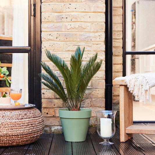 Loft pot