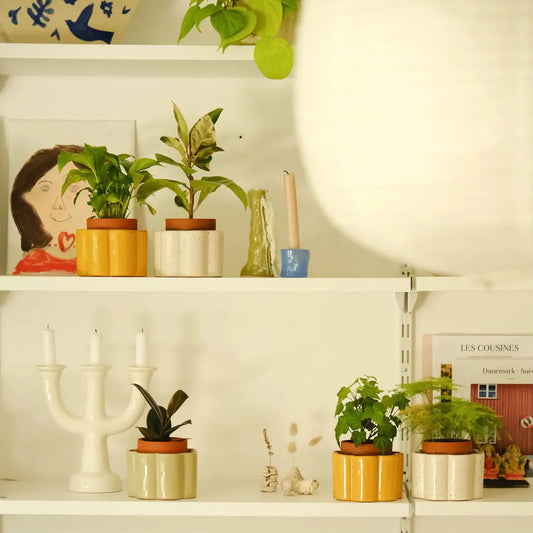 Paulita Self-Watering Pot - Textured White