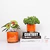 Gepege Ceramic Indoor Orchid Flower Pots