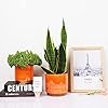 Gepege Ceramic Indoor Orchid Flower Pots