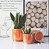 Gepege Ceramic Indoor Orchid Flower Pots