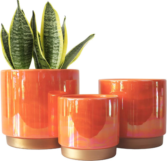 Gepege Ceramic Indoor Orchid Flower Pots