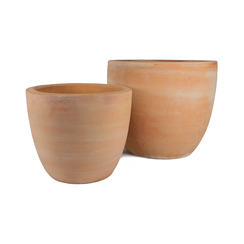 Terracotta Plant Pot