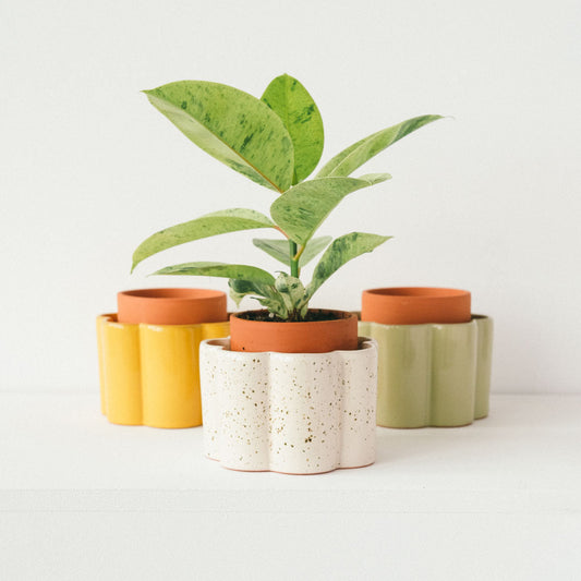 Paulita Self-Watering Pot - Textured White