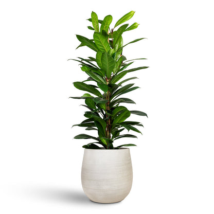 Esra Plant Pot - Concrete
