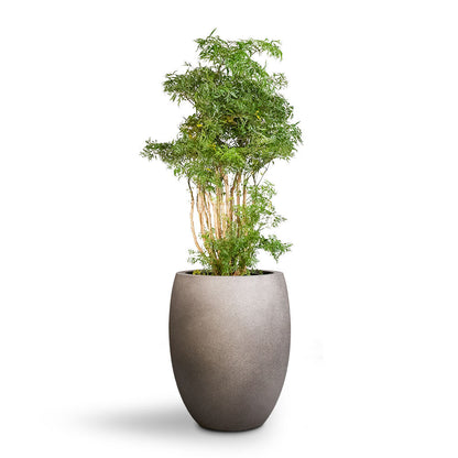 Grigio Tall Balloon Planter - Natural Concrete