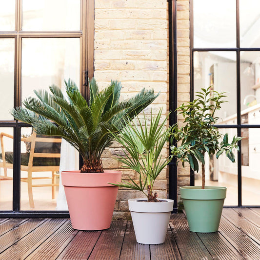 Loft pot