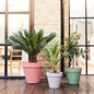 Loft pot
