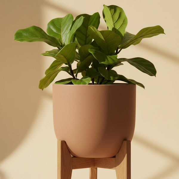 Mid-Century Modern Elevated Pot with Tapered Oak Stand