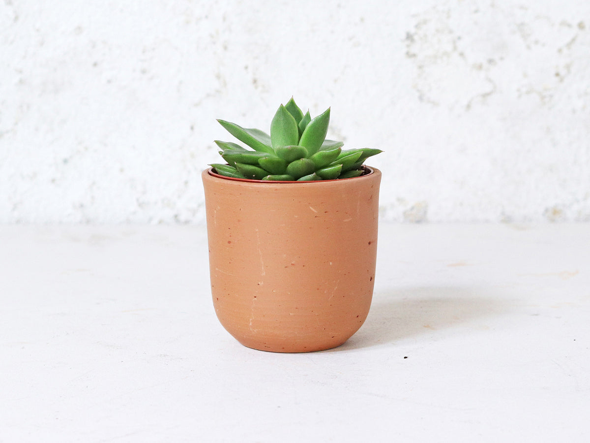 Terracotta Plant Pots Set Of 3 - U curved