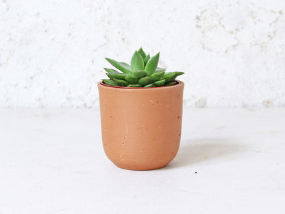 Terracotta Plant Pots Set Of 3 - U curved