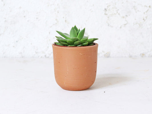 Terracotta Plant Pots Set Of 3 - U curved
