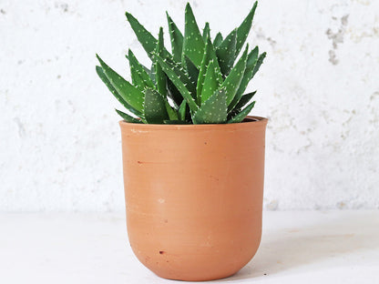 Terracotta Plant Pots Set Of 3 - U curved