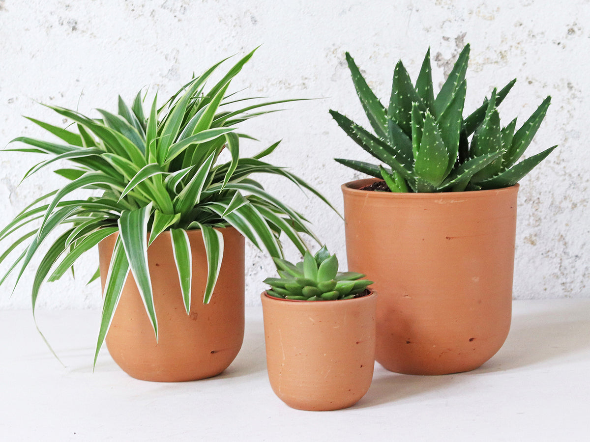 Terracotta Plant Pots Set Of 3 - U curved