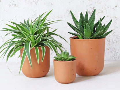 Terracotta Plant Pots Set Of 3 - U curved