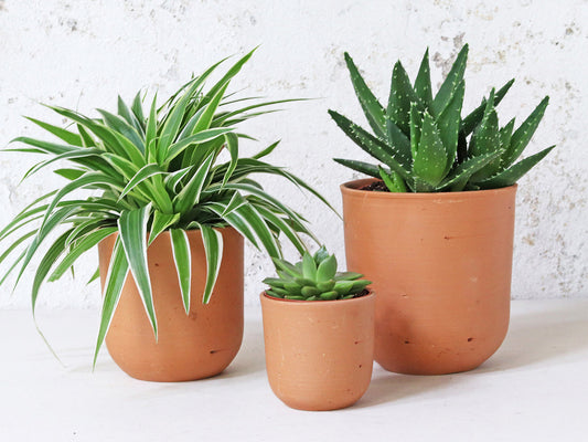 Terracotta Plant Pots Set Of 3 - U curved