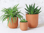 Terracotta Plant Pots Set Of 3 - U curved